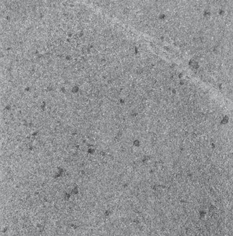 pump casing inspection pump casing inspection